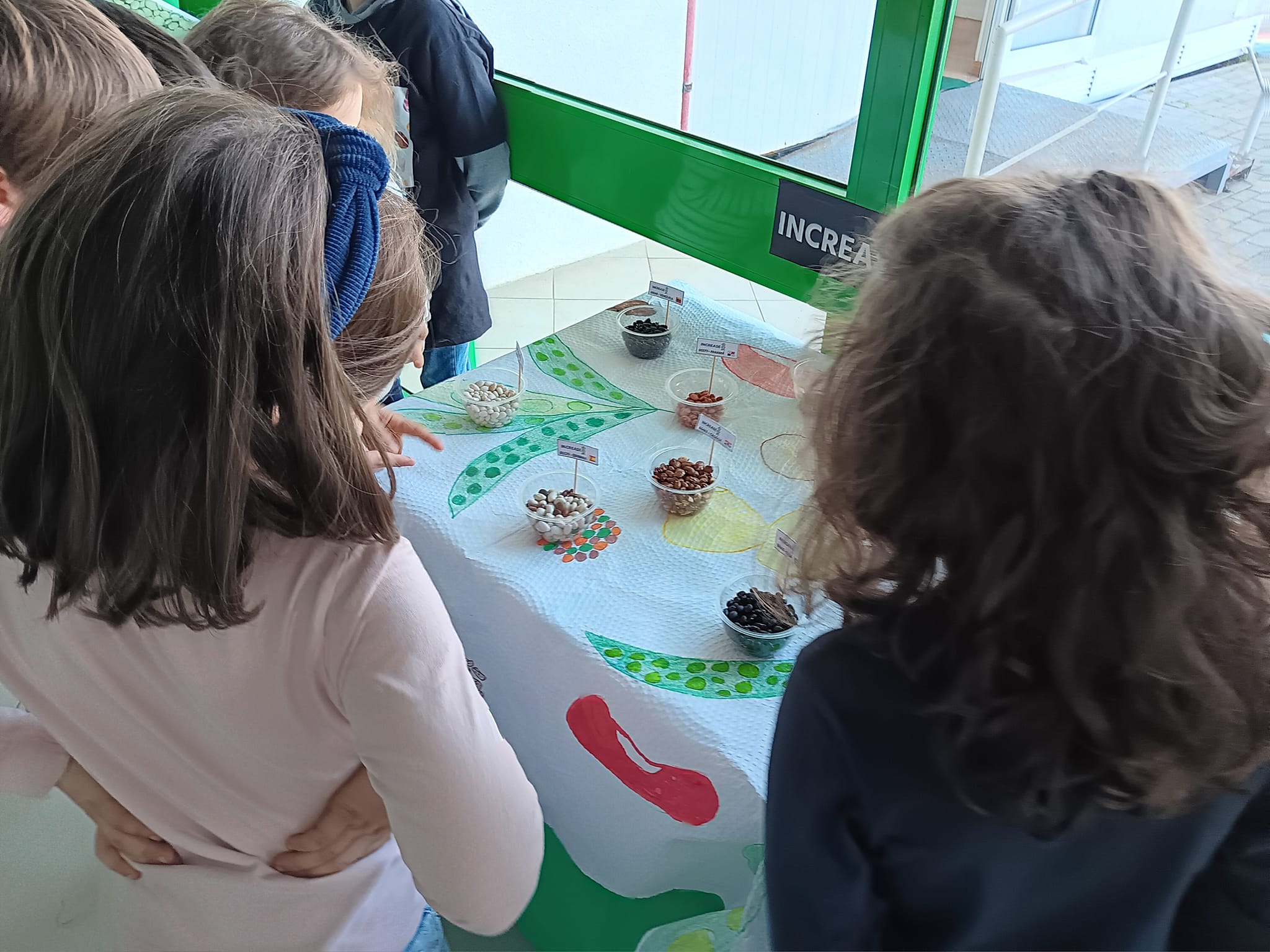 Feature School Portugal